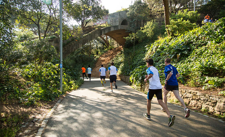 SalomonRun_2